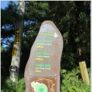 제주 올레길 13코스 이미지