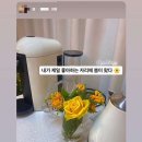 드림플라워 이미지