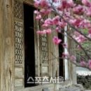 고색창연 이미지