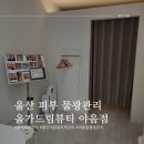 파리바게뜨 울산야음 | 울산 야음동 피부관리, 올가드림뷰티 야음점 물광관리 후기