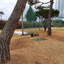 대승골프랜드 | 대승골프클럽 파3 퍼블릭 연습장 혼자 라운딩 후기&amp; 코스 소개 #3 (Hole 7,8,9)