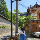 자녹 한복 - 편하고 예쁜 생활 한복 내돈내산 후기(착용샷, 사이즈 꿀팁까지)