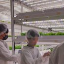 신월농장 이미지