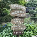 숲속어린이 작은도서관 | 부산 서구 아이랑 서구 숲속놀이터 상상놀이터 도서관