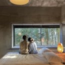 D1250 | 나만 알고싶은 제주 서귀포 프라이빗 독채 풀빌라 펜션 "D1250"