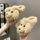6509 이미지