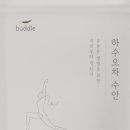 버들 BUDDLE