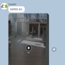덕정동물의료센터 이미지