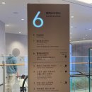 대전 유일무이 5성급 호텔 오노마 디럭스킹룸 수영장 조식뷔페 신세계백화점 후기