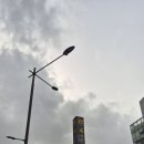 카프킥복싱 MMA 이미지