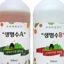 식물A 이미지