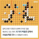 신의한수