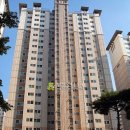 강남-222 이미지