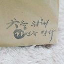 견을위해 자연을 담다 이미지