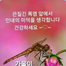 청춘회 물회 이미지
