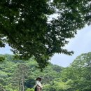 인천 강화 6월 가족여행 [1박 2일] :: 전등사, 카페 메타포레스트, 강화 루지, 펜션 바베큐