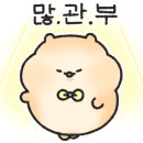 족발신선생영주가흥점 이미지