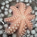 병어철이 끝나갑니다 ! 특가 30미병어/활돌문어/미역줄기/젓갈들 판매합니다 이미지