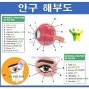 상록수요양보호사교육원