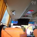 세송이동백미