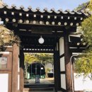 판암동220 | [판암동 맛집] 쌍청고기마을_점심특선_내 돈주고 사먹은 후기