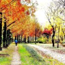 아름다운 산책 이미지