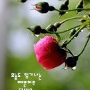 동일빌딩 이미지