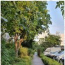 마음부동산중개 이미지