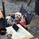 만돈만리 | [하남 맛집] 반려견도 함께! 캠핑 분위기 야외 고깃집 만돈만리 후기 🐾🔥| 내돈내산