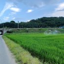 고창드론항공교육원 네이버블로그