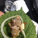 동창돼지한마리 티스토리