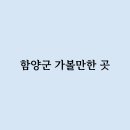함양군 가볼만한 곳은 어떻게 되는걸까요 ?