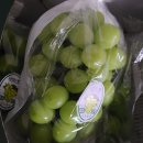 새인농장 이미지