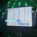 에메랄드시티 오브 오즈 이미지