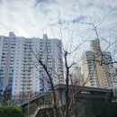 해운대케이씨씨스위첸 이미지