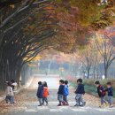 소풍 이미지