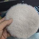 프로광택사