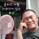 세상은 요지경 이미지