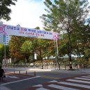 신남초등학교 총동창 체육대회를 다녀와서 이미지