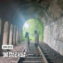 9월21일 名不虛傳 보라~개미취 천국 !! 숨겨논 보석 휴양 스팟 명소 시크릿 가든 한국의 지베르니 출사 이미지