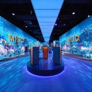 오션스타 이미지