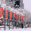 강릉에서 X-MAS 겨울축제 열린다 이미지