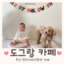 DOGRANG | 부산 광안리 애견동반카페 : “도그랑” 강아지 펫푸드 포토존 맛집