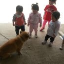 아지야 놀자 이미지