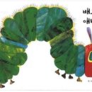 나비 한살이 이미지