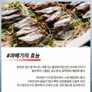 과메기 이미지