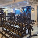 바디플렉스짐 이미지