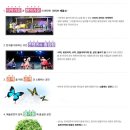 국악뮤지컬판타스틱 이미지