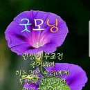 행복한개 이미지