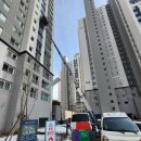 탄벌동-8 이미지